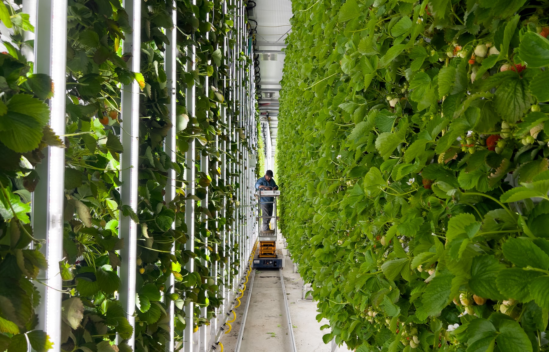 Vaudreuil Production Site Ferme D Hiver
